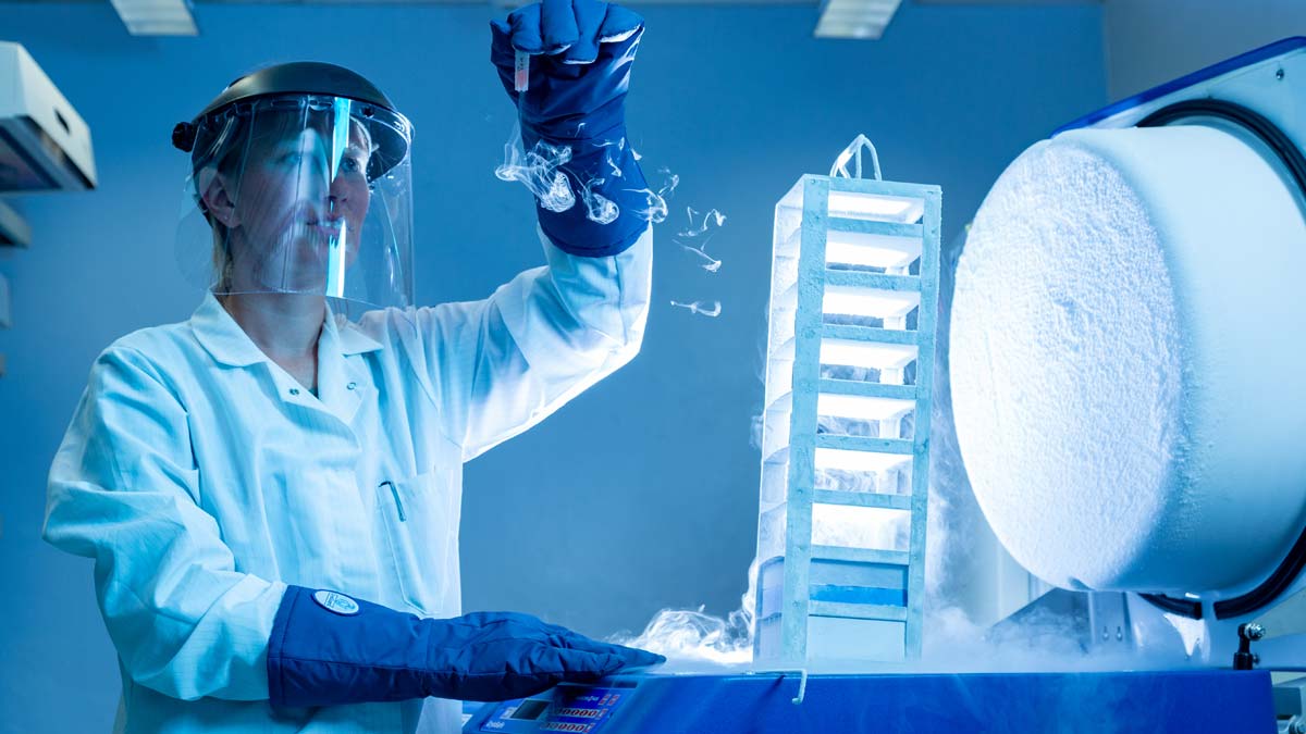 Researcher with stem cell and liquid nitrogen tank